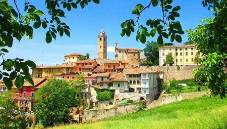 Piemont für Genießer - Trüffel, Wein und Schokolade