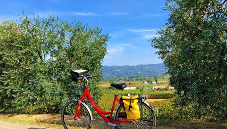 Sternfahrt Toskana - Radeln, Schlemmen, Entspannen.