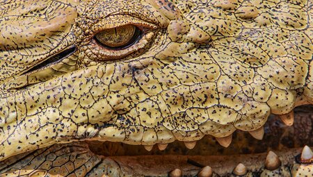 Südafrika & Eswatini: Rainbow