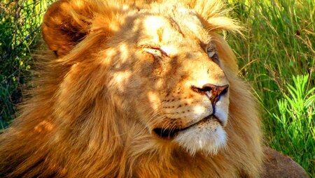 Südafrika: Tsitsikamma