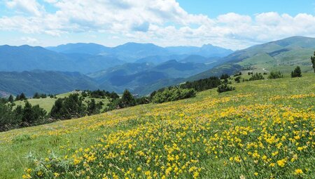 Pyrenäen - Schmugglertrail - eMTB-Abenteuer in den Pyrenäen
