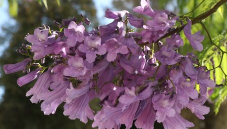 TransAlgarve Hinterland & Küstentour