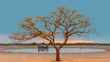 Namibias Highlights erleben