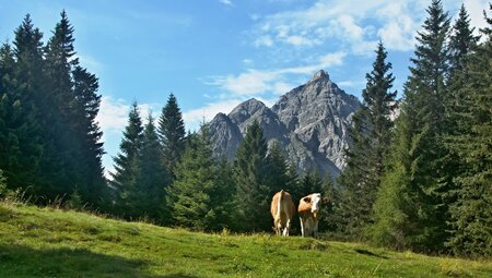 Alpenüberquerung Garmisch - Sterzing individuell
