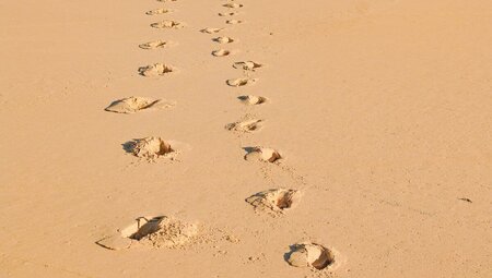 Frankreich - Der Loire-Radweg - 8 Tage