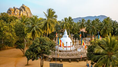 Sri Lankas Highlights erleben