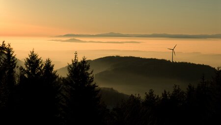 Die schönsten Wanderungen im Schwarzwald - Gipfel. Seen und Schluchten