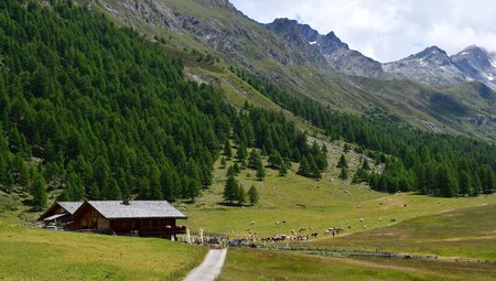 Der Meraner Höhenweg - alpine Pfade und großartige Ausblicke