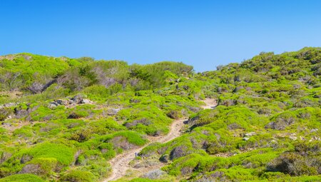 Best of Cami de Cavalls