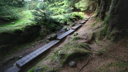 5-tägige selbstgeführte Wanderung auf dem Wicklow Way