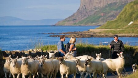 5-tägige selbstgeführte Wanderung an der Antrim Causeway Coast