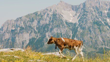 Albanien individuell - Trekking im Norden