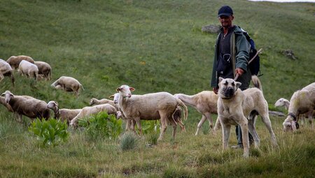 High Scardus Trail individuell