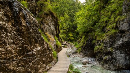 Die Kitzbüheler Alpen gemütlich erwandern