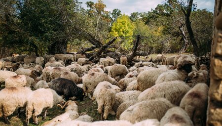 Rumäniens Highlights erwandern