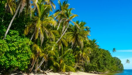 Costa Rica für Singles und Alleinreisende