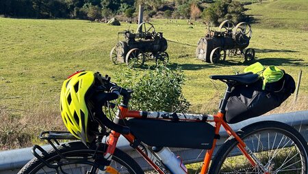 Chile - Rund um den See Llanquihue