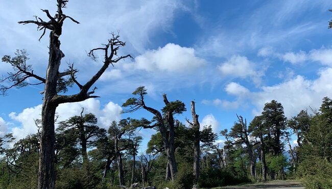 Chile - Seen und Vulkane