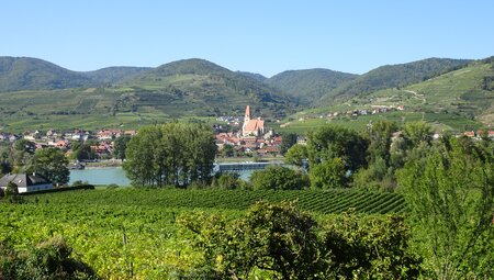 Welterbesteg Wachau Spitz
