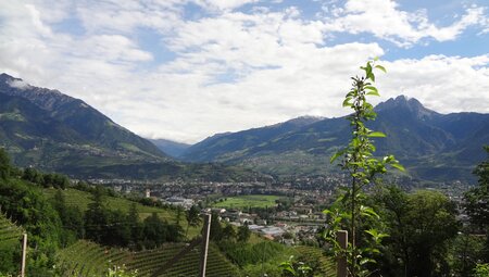 Italien südliche Weinstraße