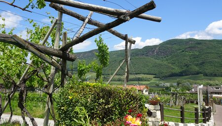 Italien Weinstrasse Wanderrast