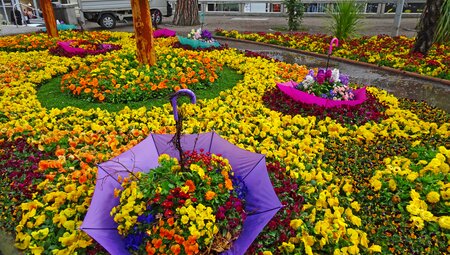 Von Meran zum Gardasee 8 Tage - mit Charme