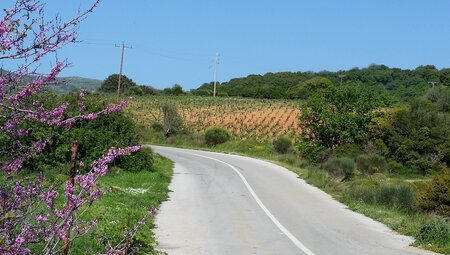 Griechenland Straße 