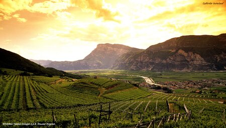 Augsburg - Riva del Garda klassisch Weinfeld