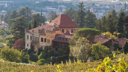 Kleines Haus zwischen Bäumen