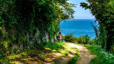 Guernsey Grüne Idylle