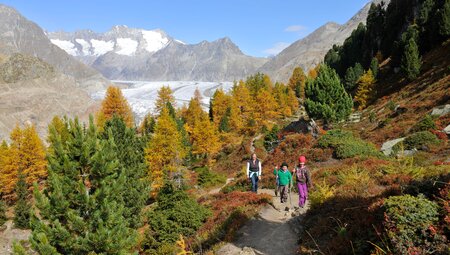 Aletsch Gletscher im Herbst