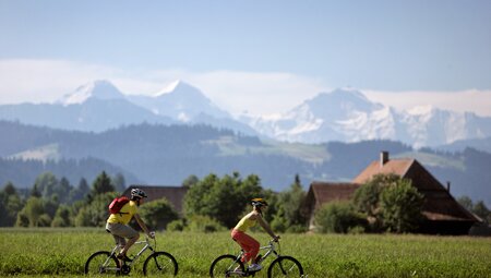 Aare-Radweg Panorama