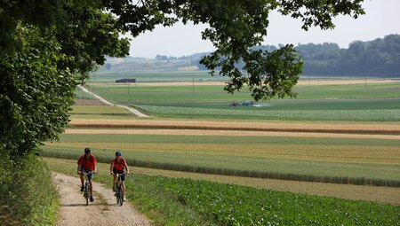 Mittellandroute Wiesen und Schotterweg