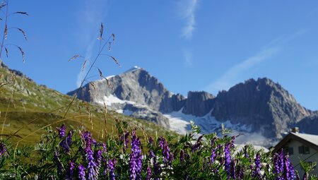 Alpenpanorama Rhone-Radweg