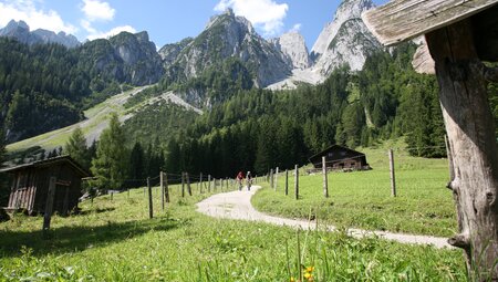 Salzkammergut Gosau Alm