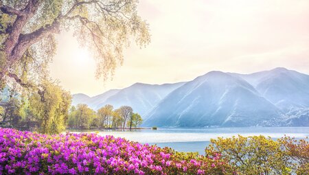 Schweiz - Tessiner Highlights