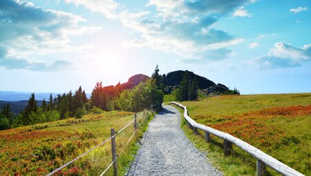 Die Highlights im Nationalpark Bayerischer Wald erwandern