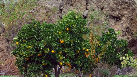 Gran Canaria - Wandern auf dem Miniaturkontinent
