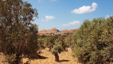 Kykladen - Santorini & Naxos