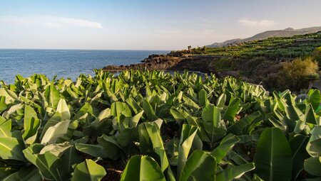 La Palma sportlich erwandern