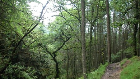 Schottland - West Highland Way - 8 Tage