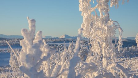 Silvester in den Bergen Norwegens