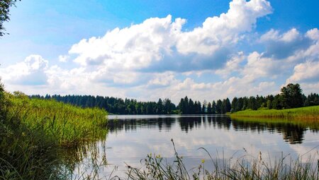 Romantische Straße & Bayerische Seen