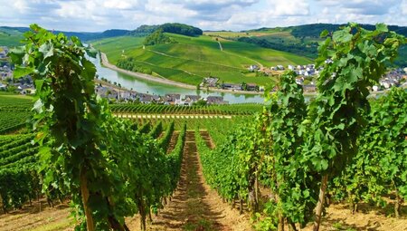 Mosel- & Eifelsteig Perl – Trier/Eifelsteig