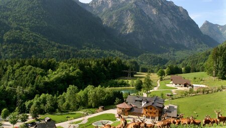Almwandern im Salzkammergut