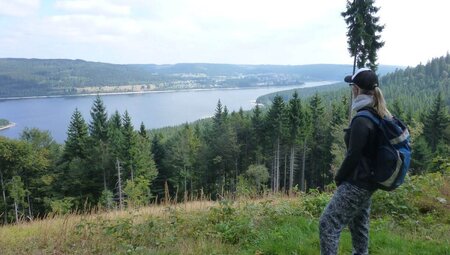 Schluchtensteig - die Vielfalt des Schwarzwalds