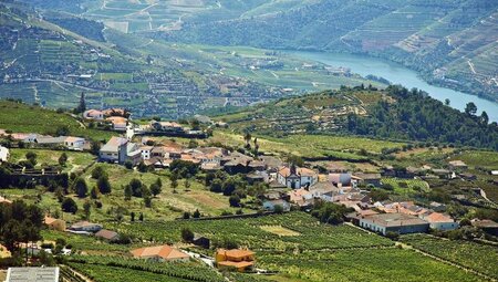 Douro - Weingut-Wanderung in Portugals Norden