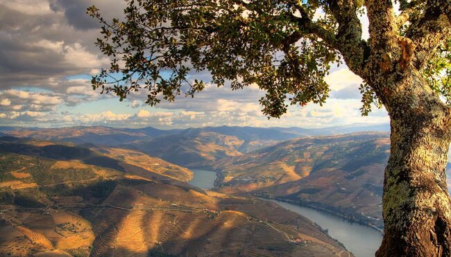 Douro - Weingut-Wanderung in Portugals Norden