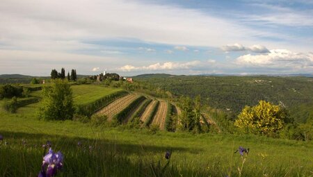 Kroatien - Mit dem Rad von Triest nach Pula 8 Tage