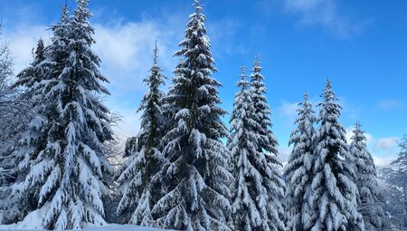 Tourengeher in der Tatra 